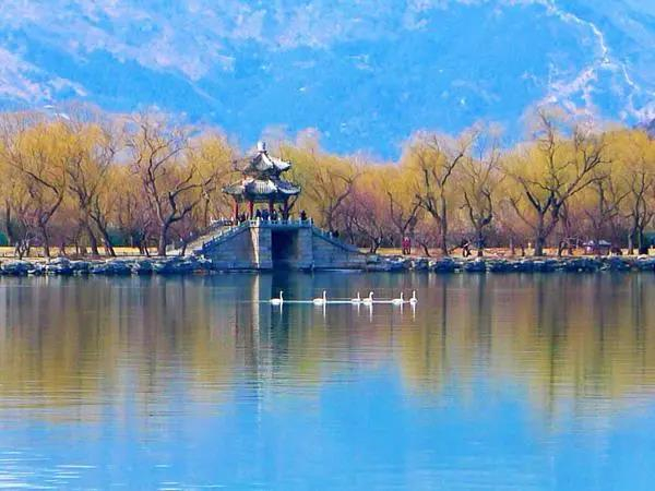 1604528782953_427.jpg 微信图片_20201105143430.jpg